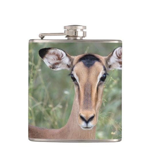 インパラポートレート フラスク (正面)