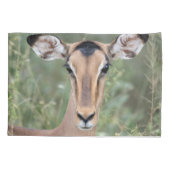 インパラポートレート 枕カバー (裏面)