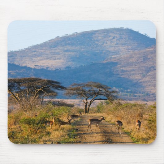 インパラ（アエピセロス·メランプス）、フルーウェ·ウンフォロジ マウスパッド (正面)