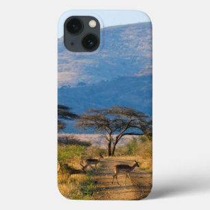 インパラ(アエピセロス·メランプス)、フルーウェ·ウンフォロジ iPhone 13ケース