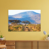 インパラ(Aepyceros Melmpus), Hluhluwe-Umfolozi キャンバスプリント (インサイチュ (リビング))