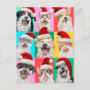  インビテーションポストカード