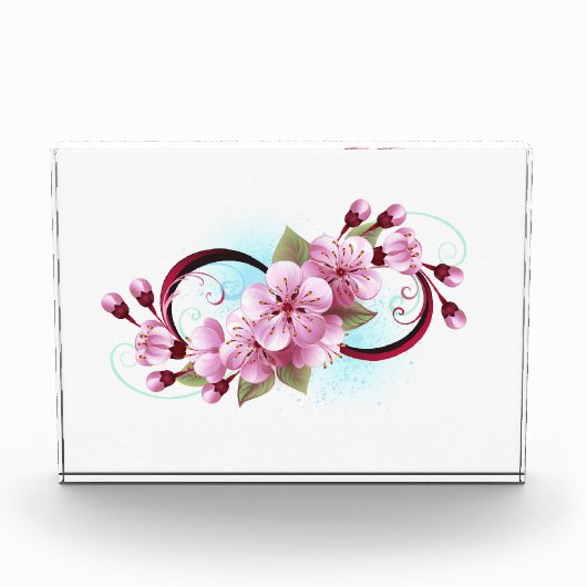 インフィニティと桜花 フォトブロック (正面)