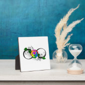 インフィニティシンボルとレインボーバラ フォトプラーク (インサイチュ)