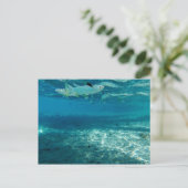 インフィニティブルー ポストカード (スタンド正面)