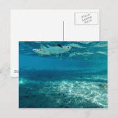 インフィニティブルー ポストカード (正面/裏面)