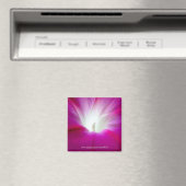 インフィニティ（明） マグネット (インサイチュ (食洗機))