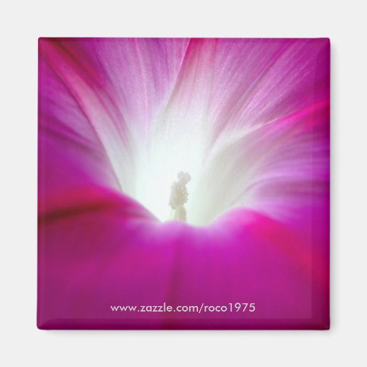 インフィニティ（明） マグネット (正面)