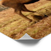 インペリアルスタグ ポスター (角)