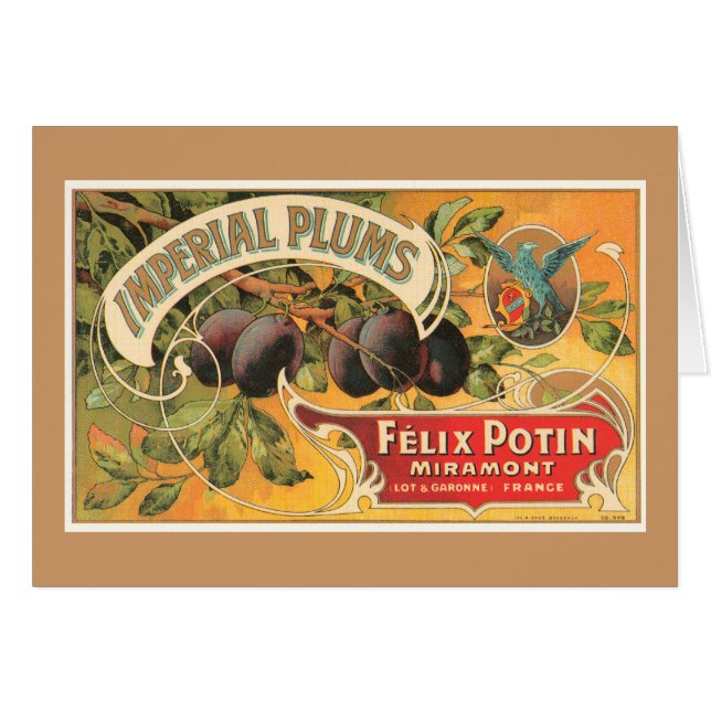 インペリアルプラム (正面横)