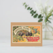 インペリアルプラム ポストカード (スタンド正面)