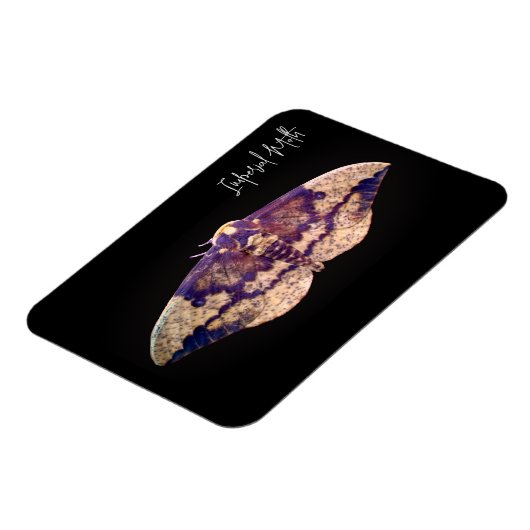 インペリアルモス マグネット (左側)