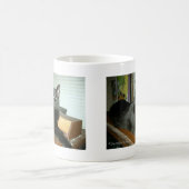 インペリアル子猫 コーヒーマグカップ (中央)