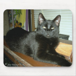 インペリアル子猫 マウスパッド