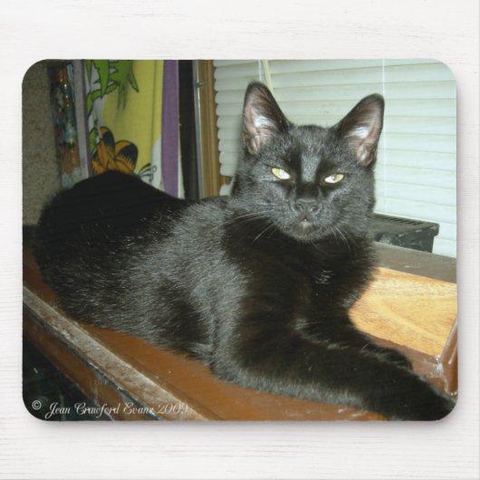 インペリアル子猫 マウスパッド (正面)