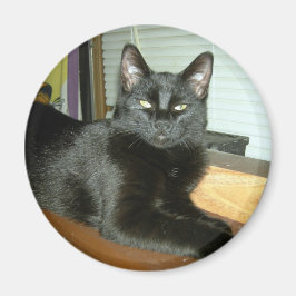 インペリアル子猫 マグネット