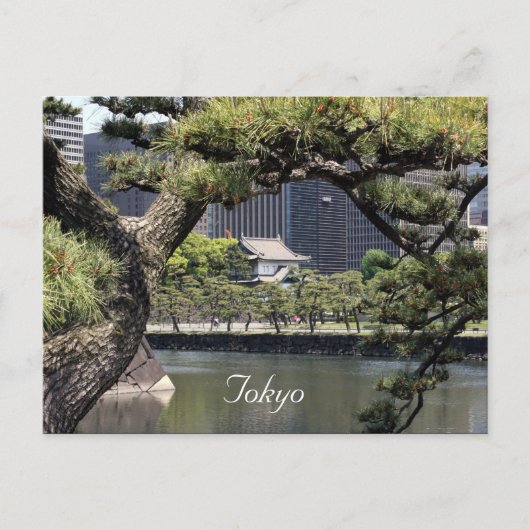 インペリアル錯体 ポストカード (正面)