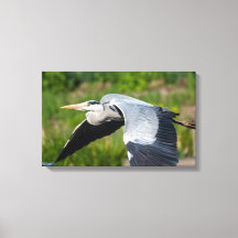 インポサントグラウレイher mitウェイテンシュヴェンゲン