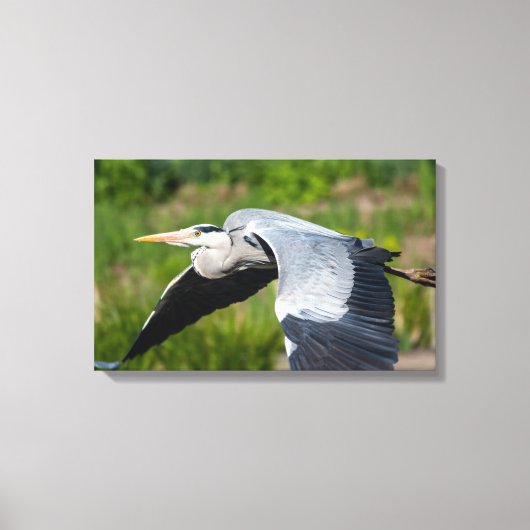 インポサントグラウレイher mitウェイテンシュヴェンゲン キャンバスプリント (正面)