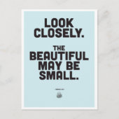 インマニュエルカント感動的引用文 ポストカード (正面)