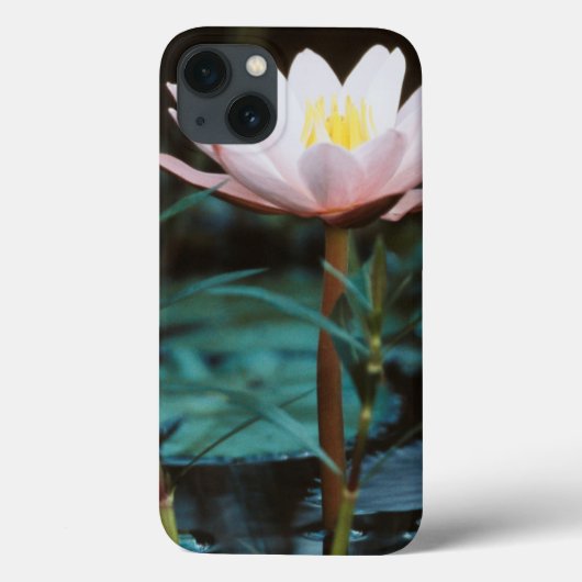 インレー湖のスイレン クローズアップ Case-Mate iPhoneケース (裏面)