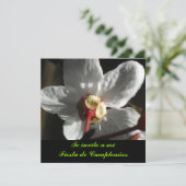 インヴィタシオン-テインヴィトアミフィエスタデクンプレニョス 招待状 (スタンド正面)