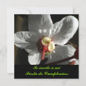 インヴィタシオン-テインヴィトアミフィエスタデクンプレニョス 招待状 (正面)