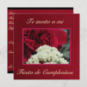 インヴィタシオン-テインヴィトアミフィエスタデクンプレニョス 招待状 (正面/裏面)