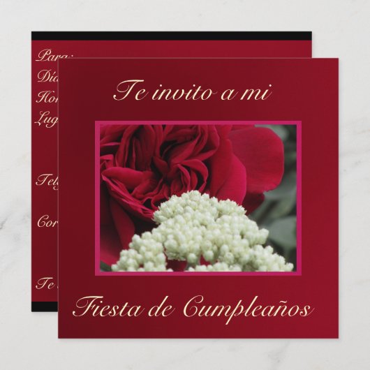 インヴィタシオン-テインヴィトアミフィエスタデクンプレニョス 招待状 (正面/裏面)