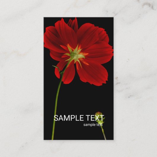 ©イン白熱［赤熱］光を放つダークネスレッドガーベラデイジーフローラ 名刺 (正面)