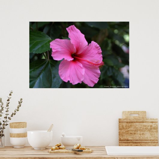 イン開花 ポスター (キッチン)