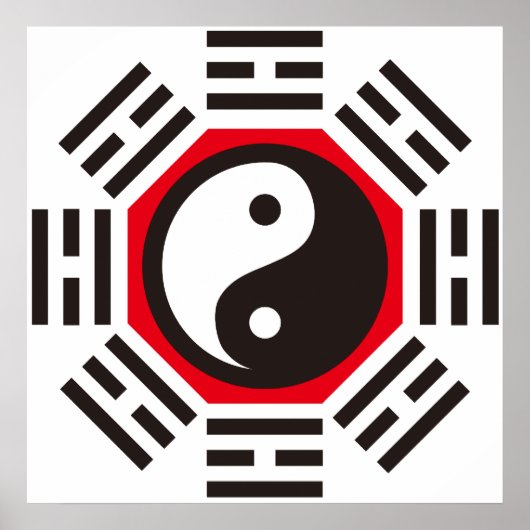 イン&ヤン ポスター (正面)