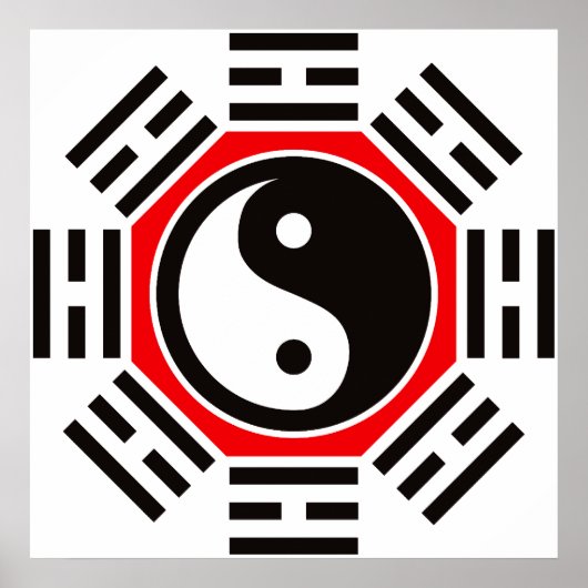 イン&ヤン ポスター (正面)