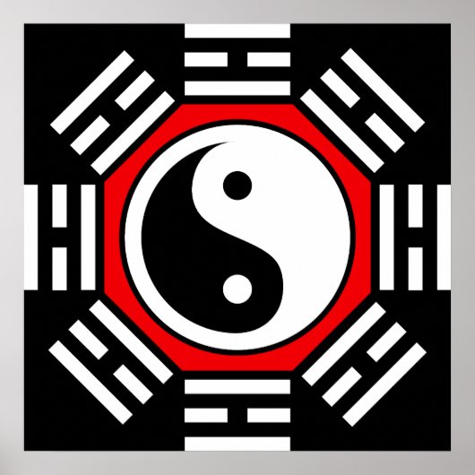 イン&ヤン ポスター (正面)