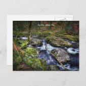 イヴィブリッジ，デボン ポストカード (正面/裏面)