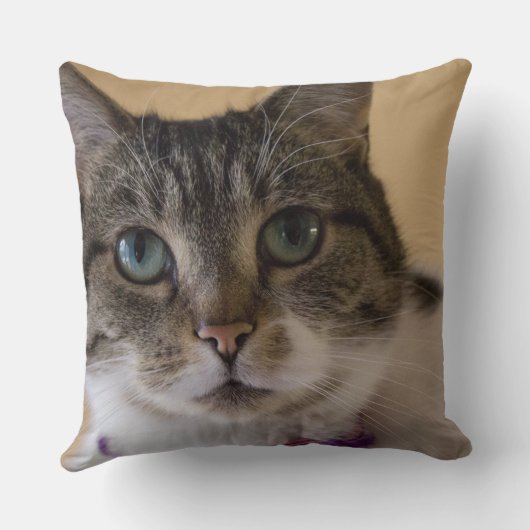 イヴィー クッション (裏面)