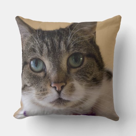 イヴィー クッション (正面)