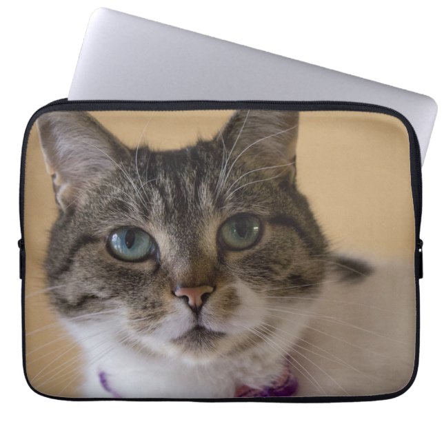 イヴィー ラップトップスリーブ (正面)