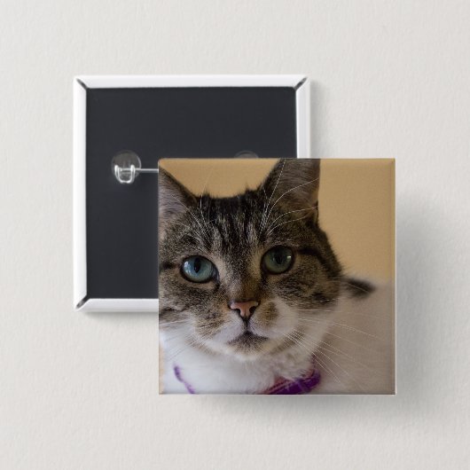 イヴィー 缶バッジ (正面&裏面)