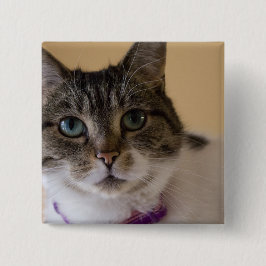 イヴィー 缶バッジ