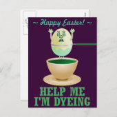 イーおもしろいスター卵染め シーズンポストカード (正面/裏面)