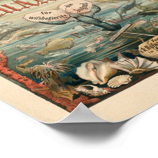 イーイン水族館のミールズ・メイズ | カール・レイナルト ポスター (角)