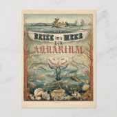 イーイン水族館のミールズ・メイズ | カール・レイナルト ポストカード (正面)