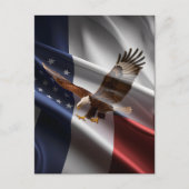 イーグルがに舞い上がるストライプ ポストカード (正面)