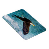 イーグルが嵐の上で舞い上がる マグネット (右側)