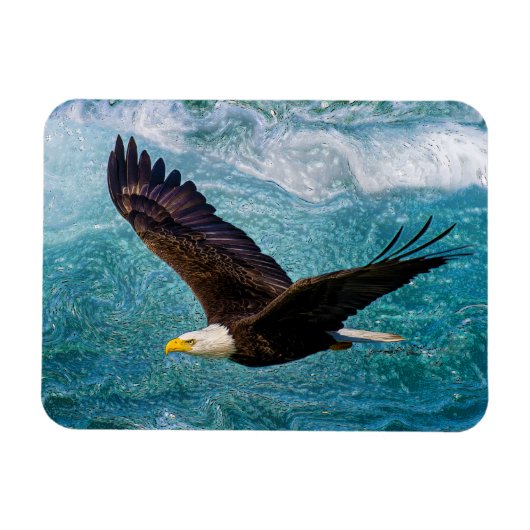 イーグルが嵐の上で舞い上がる マグネット (横)