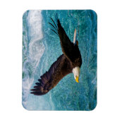 イーグルが嵐の上で舞い上がる マグネット (縦)