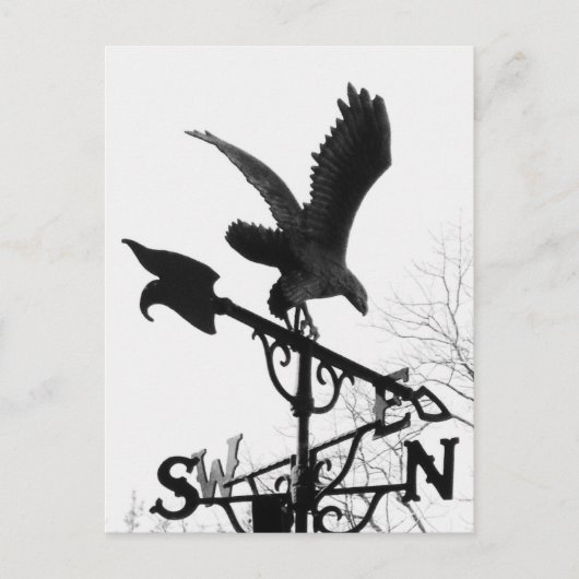 イーグルと矢印 ポストカード (正面)