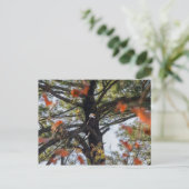 イーグルと落下葉する ポストカード (スタンド正面)