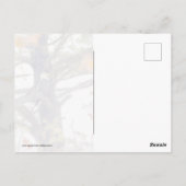 イーグルと落下葉する ポストカード (裏面)